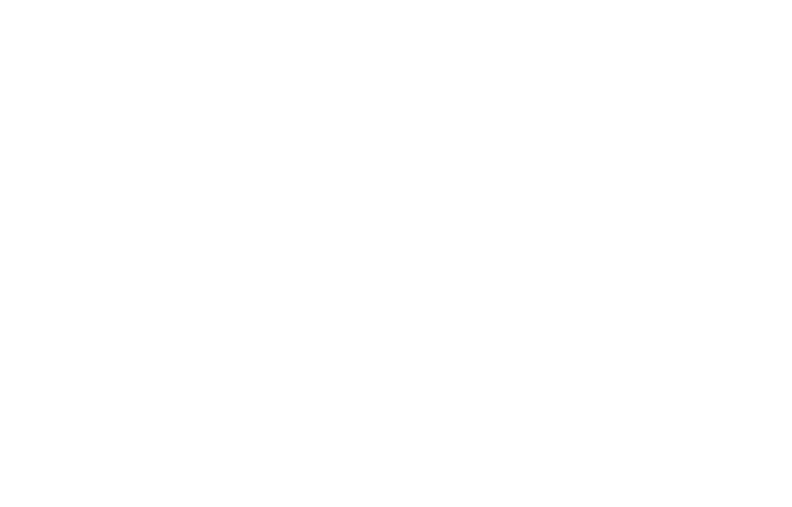 Mono Pizza Logo_Two Line_White